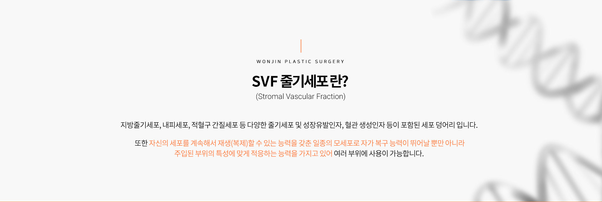 SVF 줄기세포 란?
		(Stromal Vascular Fraction)
		지방줄기세포, 내피세포, 적혈구 간질세포 등 다양한 줄기세포 및 성장유발인자, 혈관 생성인자 등이 포함된 세포 덩어리 입니다. 

		또한 자신의 세포를 계속해서 재생(복제)할 수 있는 능력을 갖춘 일종의 모세포로 자가 복구 능력이 뛰어날 뿐만 아니라
		주입된 부위의 특성에 맞게 적응하는 능력을 가지고 있어 여러 부위에 사용이 가능합니다. 

		