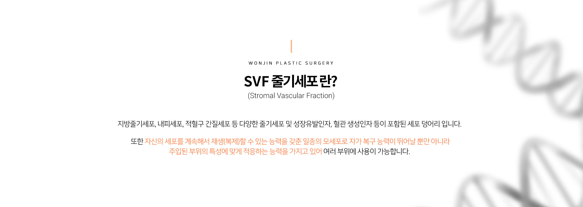 SVF 줄기세포 란?
		(Stromal Vascular Fraction)
		지방줄기세포, 내피세포, 적혈구 간질세포 등 다양한 줄기세포 및 성장유발인자, 혈관 생성인자 등이 포함된 세포 덩어리 입니다. 

		또한 자신의 세포를 계속해서 재생(복제)할 수 있는 능력을 갖춘 일종의 모세포로 자가 복구 능력이 뛰어날 뿐만 아니라
		주입된 부위의 특성에 맞게 적응하는 능력을 가지고 있어 여러 부위에 사용이 가능합니다. 

		