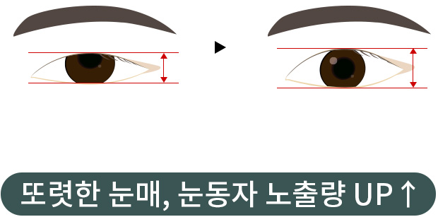 또렷한 눈매, 눈동자 노출량 UP↑