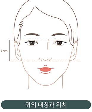 귀의 대칭과 위치