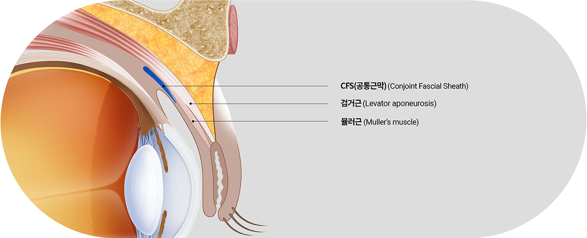 WJ 원진 더블유착 특별함 이미지